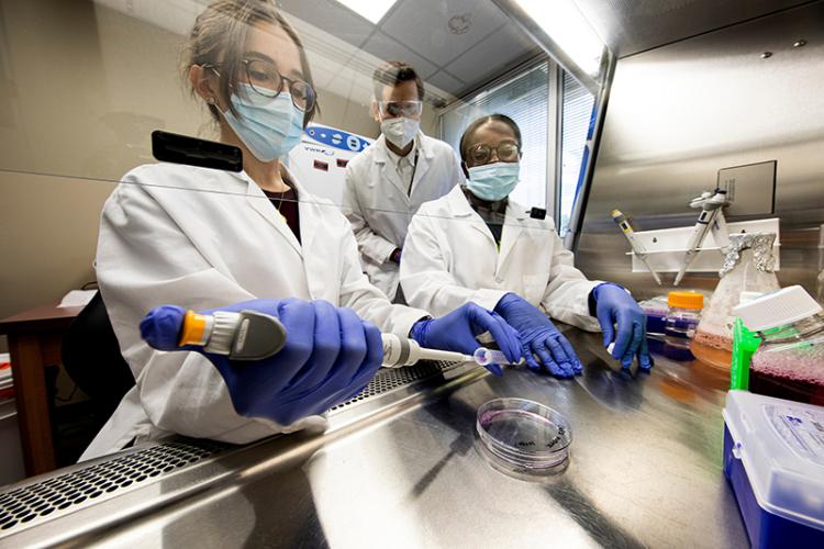 photo of students in masks and lab coats working under fume hood in famu-fsu engineering lab