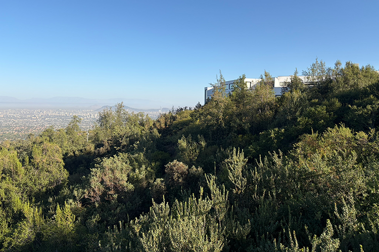 photo of chilean mountain ridge covered in green vegetation with house on top and city in background against blue sky