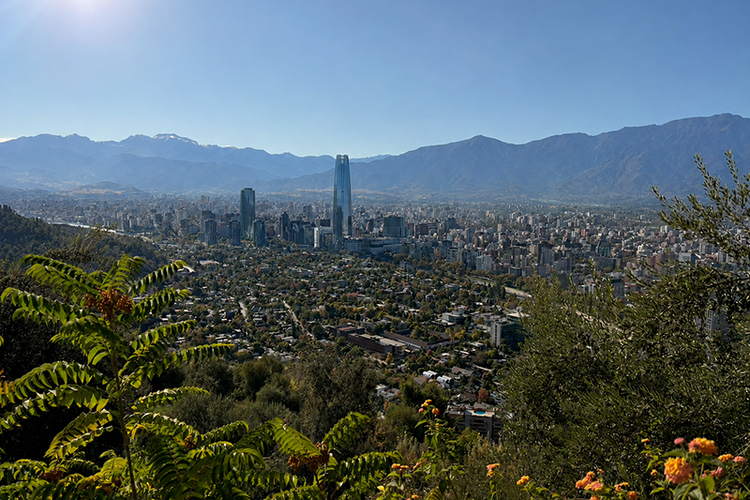 photo of chilean skyline with mountains in background city in middle ground vegetation in foreground