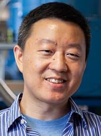 prof wei guo headshot