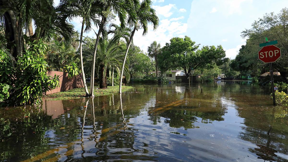 photo of flooded florida neighborhood with water over roadway