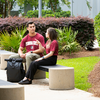 Two students wearing Florida State shirts sit on a bench along a landscaped campus walkway, talking beside a backpack. Outdoor seating, trees, and flowering shrubs surround the area.