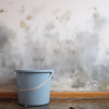 Water leak damage with mold stains on interior wall and bucket collecting dripping water on wooden floor